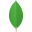 MongoDB logo